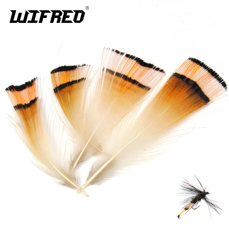50PCS Natürliche Farbe Goldene – Fishing Equipment Brands Bewertung und Preis